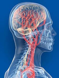 Poor blood supply to the brain is another cause of hypertension